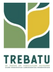 Trebatu
